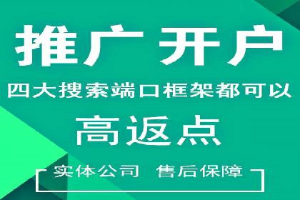 竞价推广实战经验：成功案例分享会